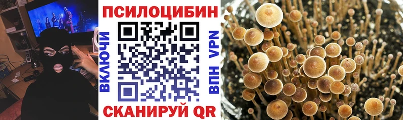 Псилоцибиновые грибы мухоморы  Балахна 